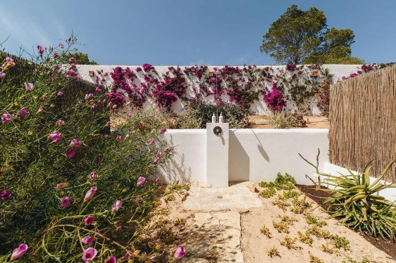 Petunia Ibiza, A Beaumier Hotel (Adults Only) カラ・ヴァデラ 部屋 写真